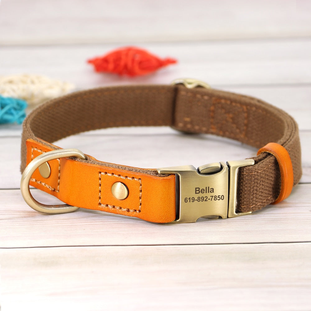 Photos from Pet Gift Guide 2013 - E! Online  Designer dog collars, Coach dog  collar, Puppy accessories